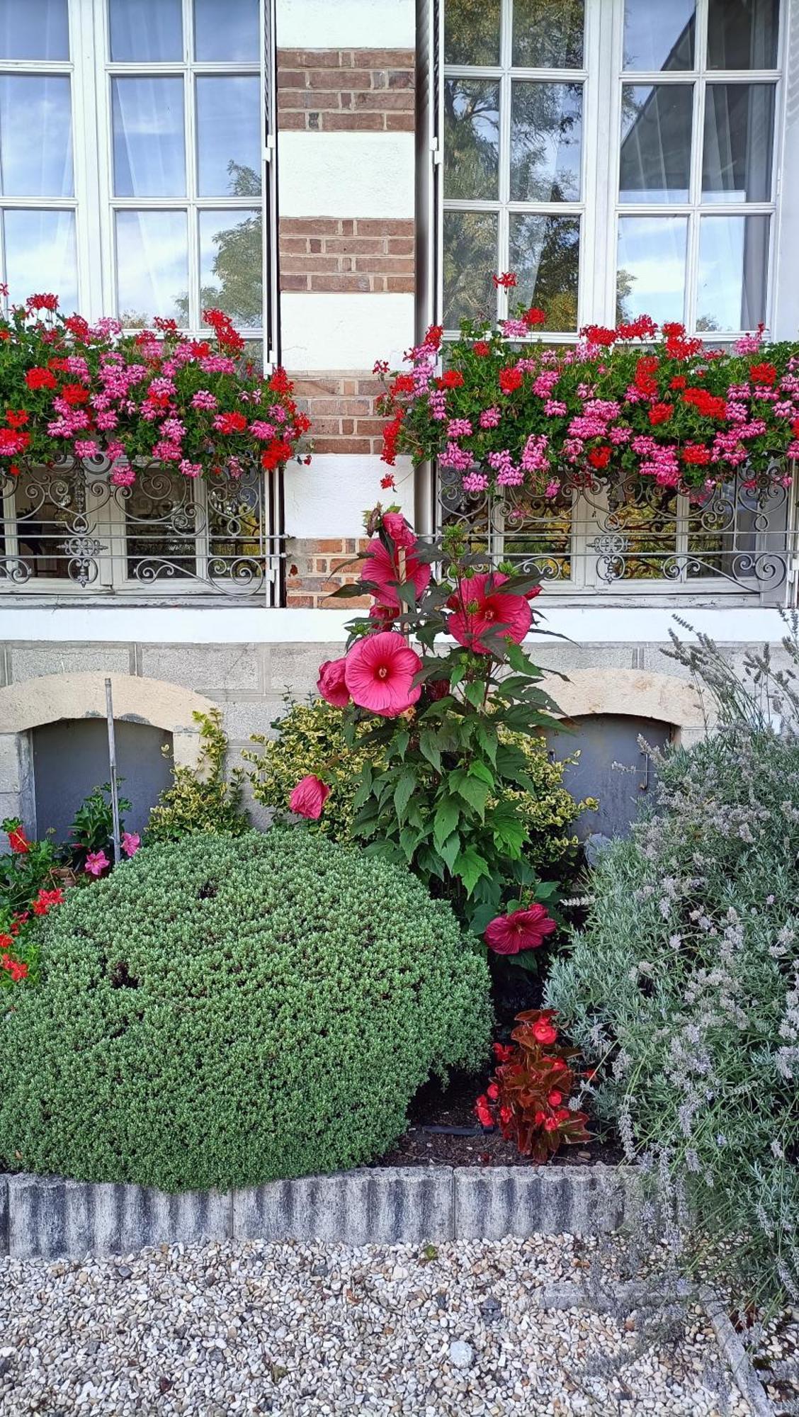 Domaine De Croix En Sologne Διαμέρισμα Neuvy-sur-Barangeon Εξωτερικό φωτογραφία